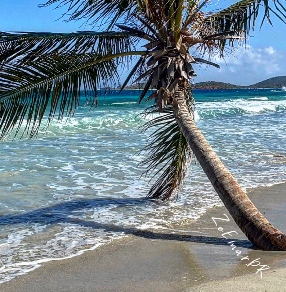 Zony Beach, Culebras PR