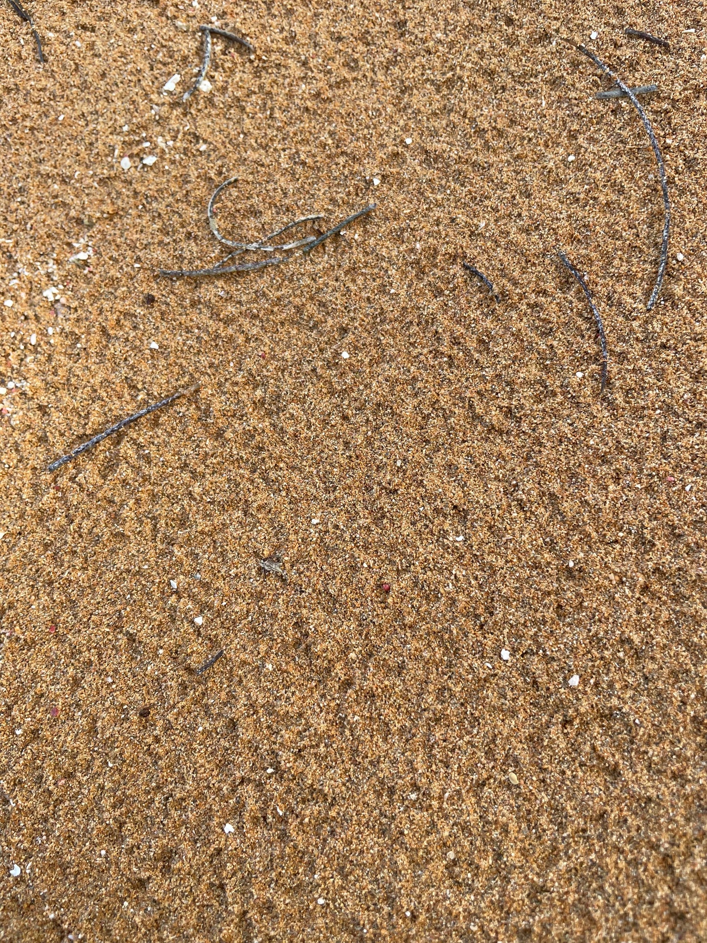 Playa Escondida, Fajardo PR